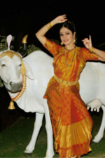 Official website of Gracy Singh